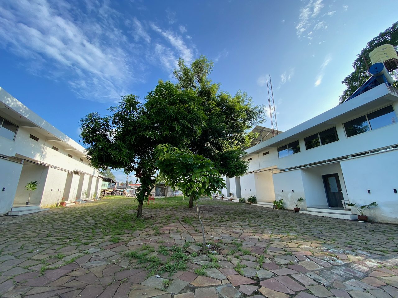 The courtyard under the mango tree